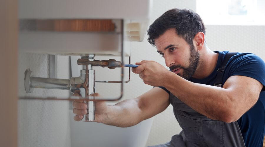 Trap Repair/Replacement in Bolingbrook, IL